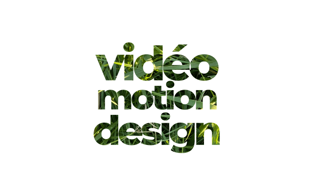 vidéo motion design